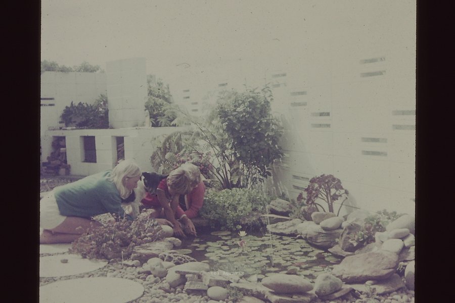 PICT0014.JPG