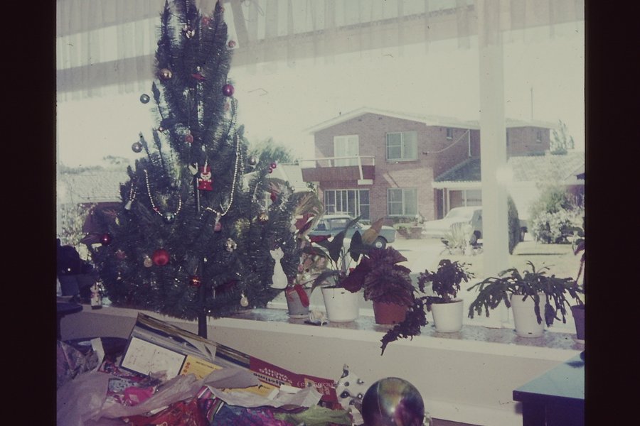 PICT0015.JPG