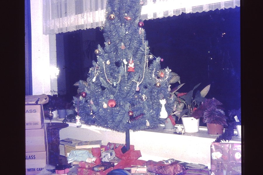 PICT0016.JPG