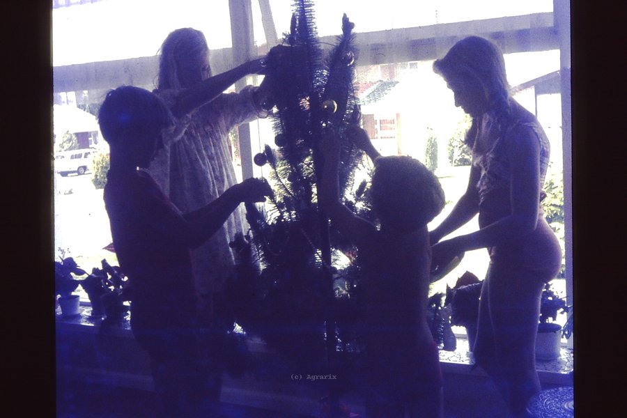 PICT0018.JPG