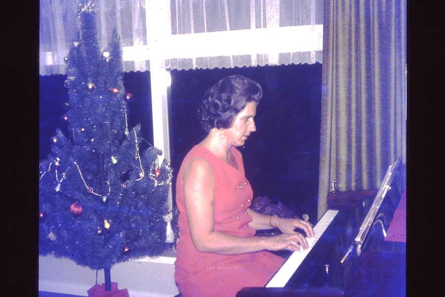 PICT0028.JPG