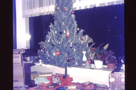 PICT0016.JPG