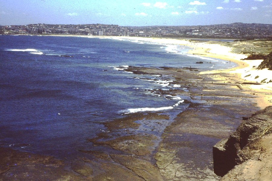 PICT0003.JPG
