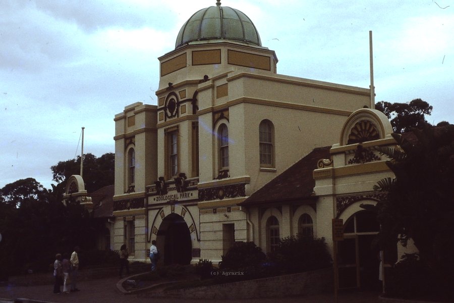 PICT0005.JPG