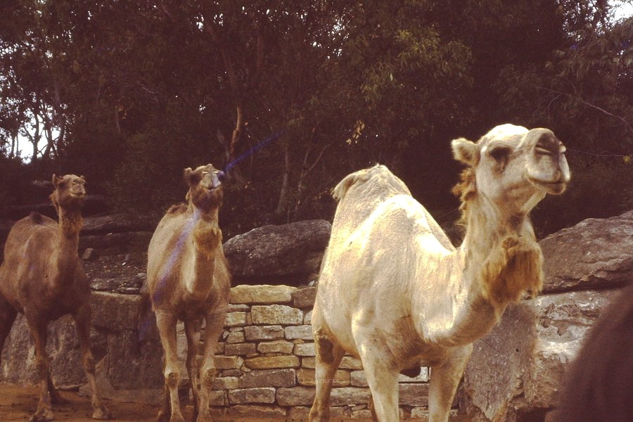 PICT0009.JPG