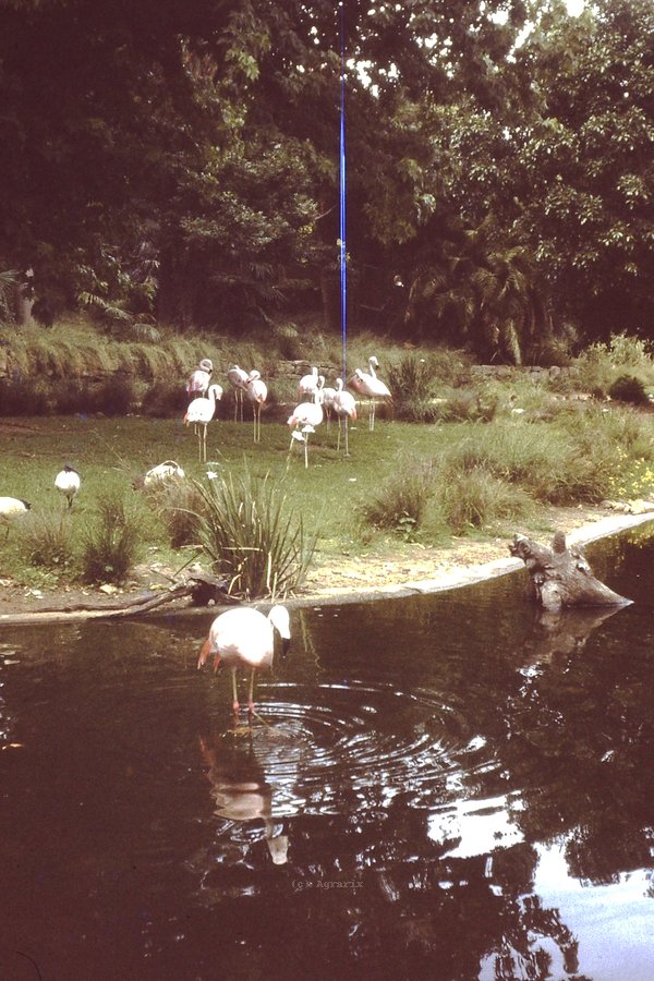 PICT0012.JPG