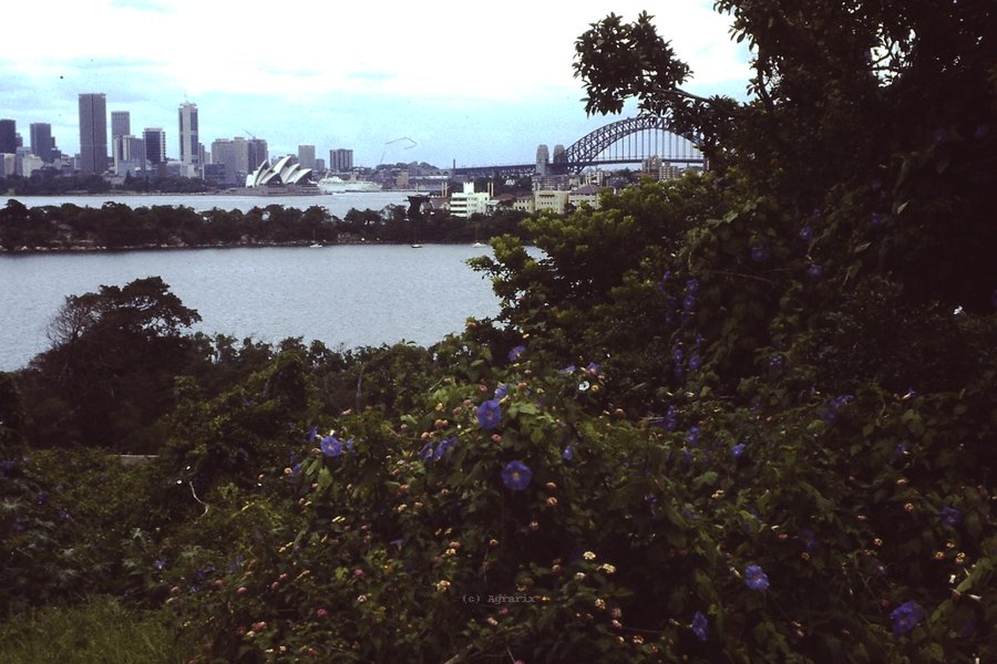PICT0014.JPG