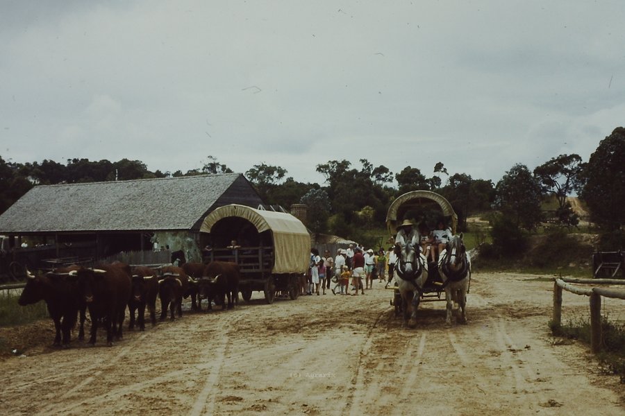 PICT0015.JPG
