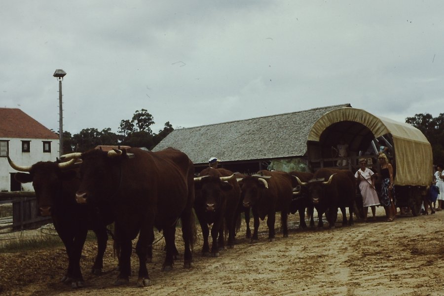 PICT0016.JPG