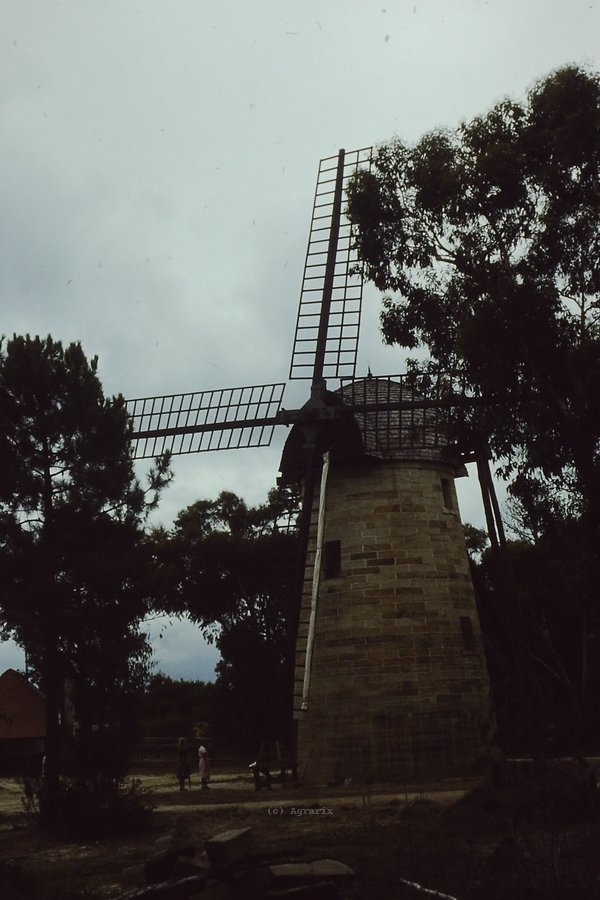 PICT0022.JPG