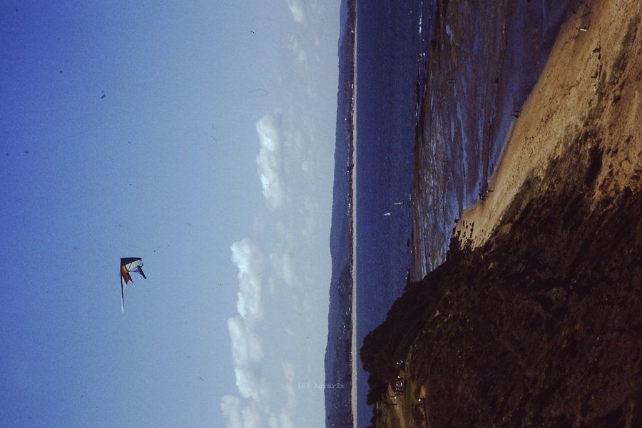 PICT0029.JPG