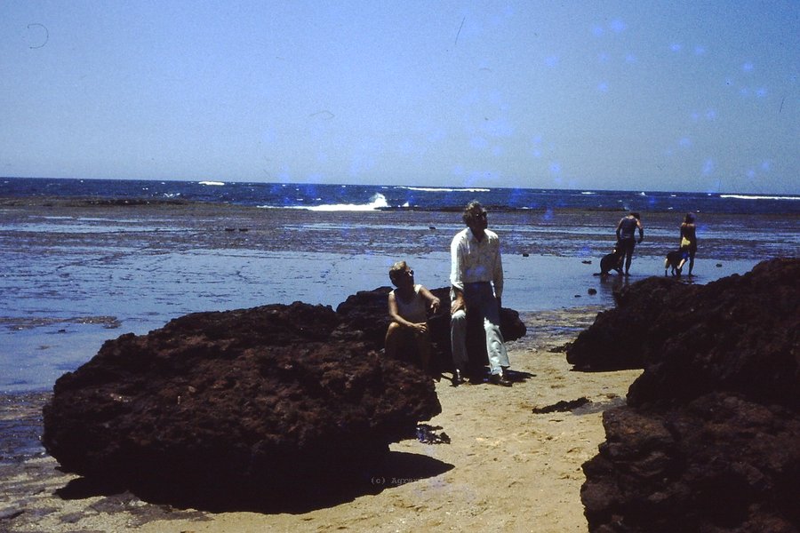 PICT0031.JPG