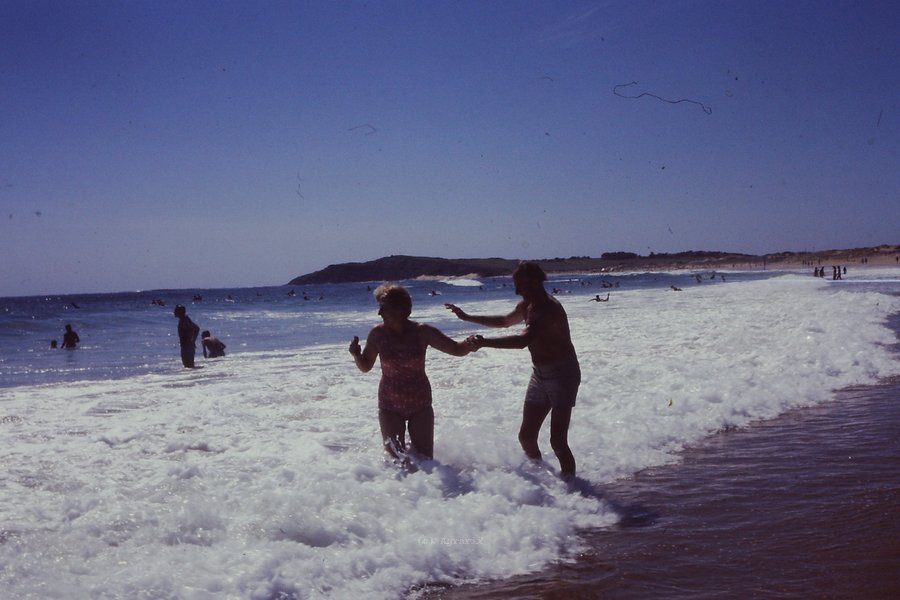 PICT0036.JPG