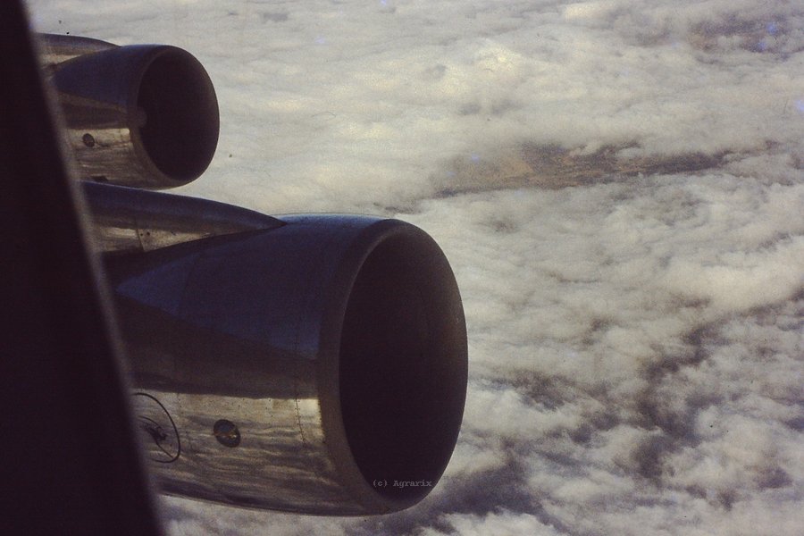PICT0040.JPG