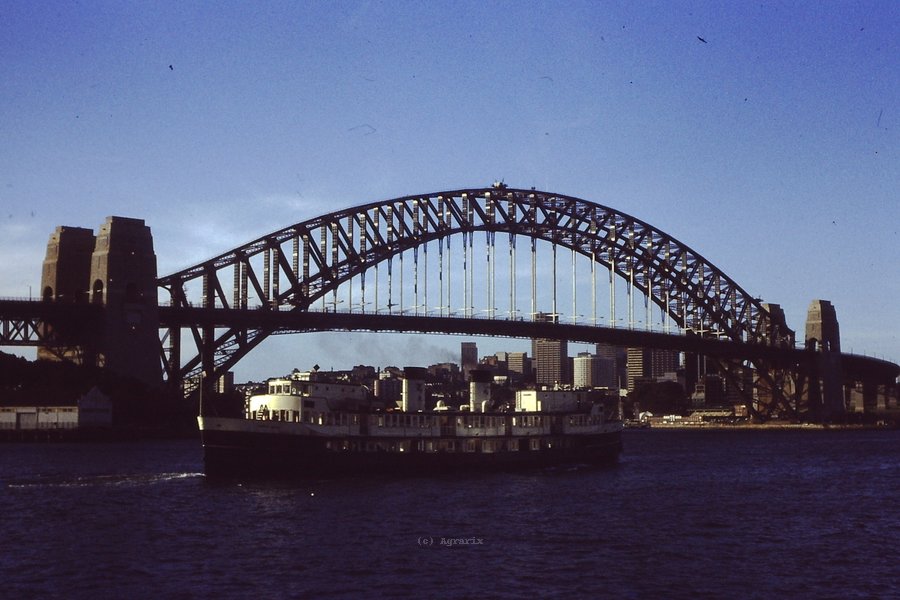 PICT0041.JPG