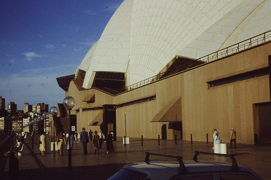 PICT0042.JPG
