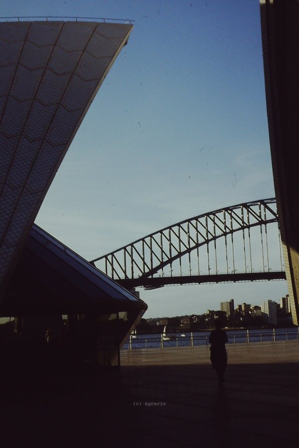 PICT0048.JPG