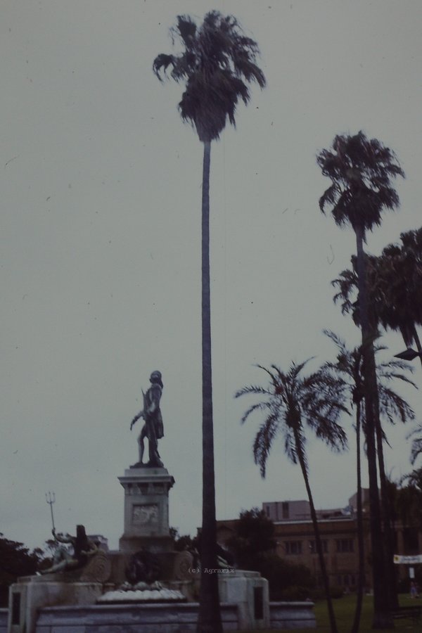 PICT0049.JPG