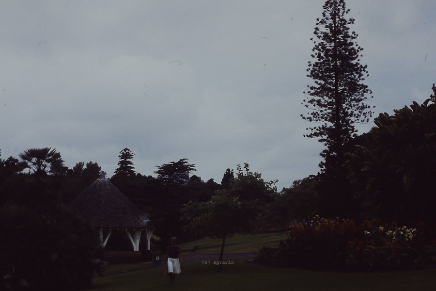 PICT0050.JPG