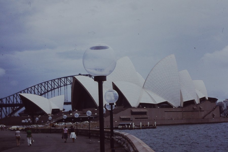 PICT0053.JPG