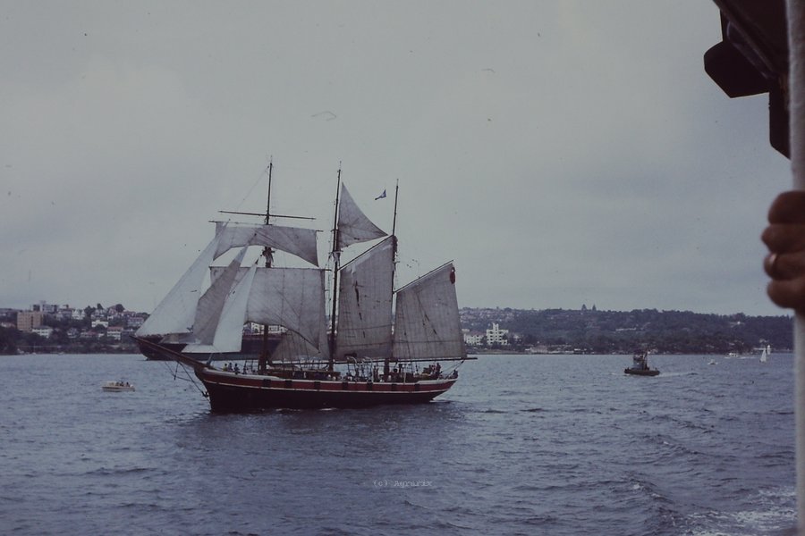 PICT0054.JPG
