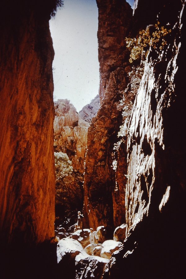 PICT0074.JPG