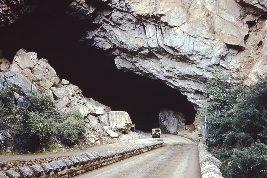 PICT0080.JPG