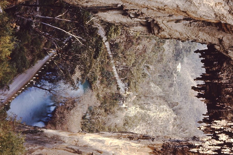 PICT0081.JPG