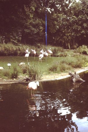 PICT0012.JPG