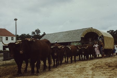 PICT0016.JPG