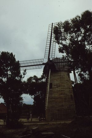 PICT0022.JPG