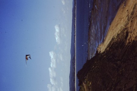 PICT0029.JPG