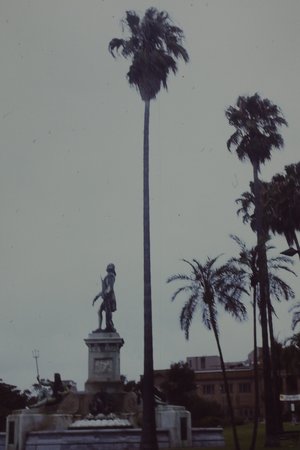 PICT0049.JPG