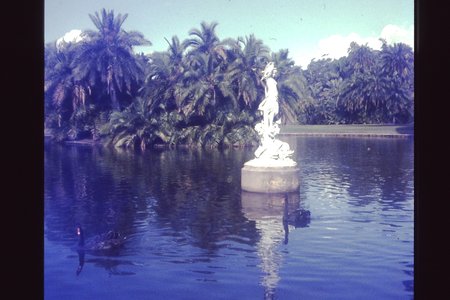 PICT0051.JPG