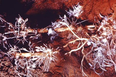 PICT0075.JPG