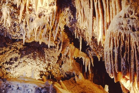 PICT0077.JPG