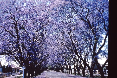PICT0082.JPG