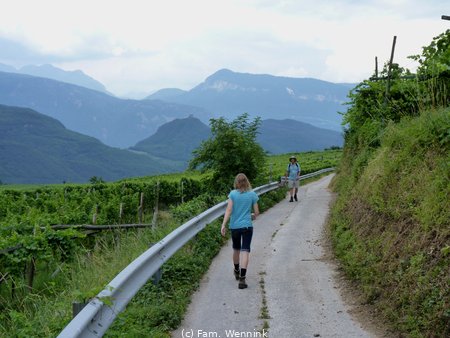 2010-P1000314.JPG