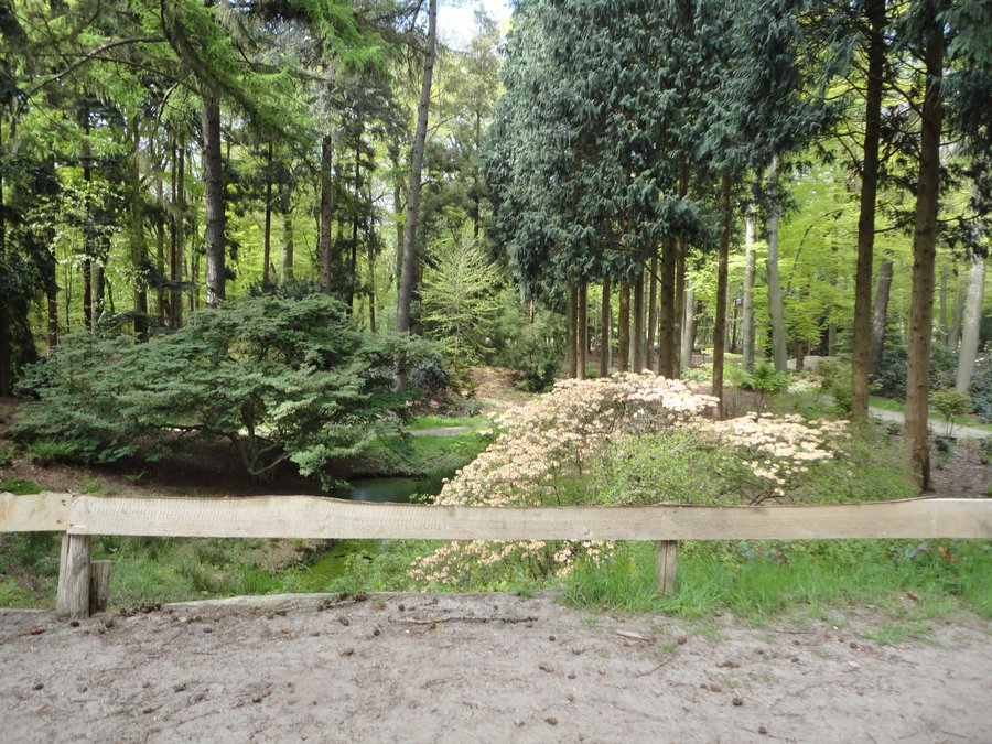 DSC00284.JPG