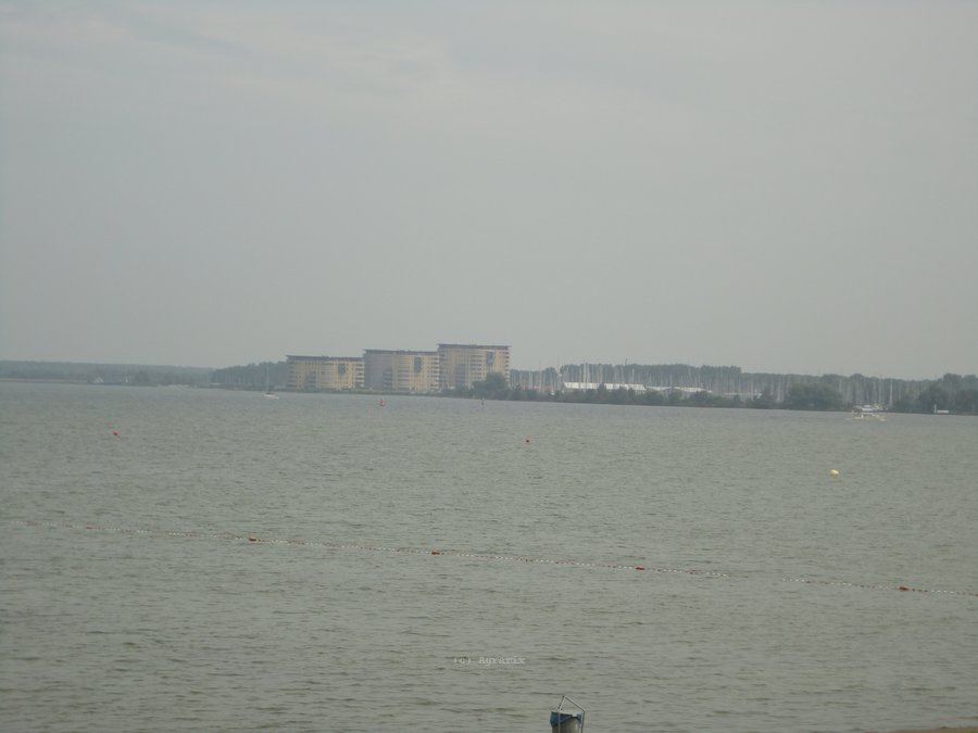 DSC00325.JPG