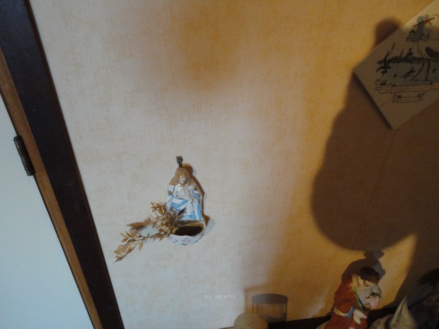 DSC00352.JPG