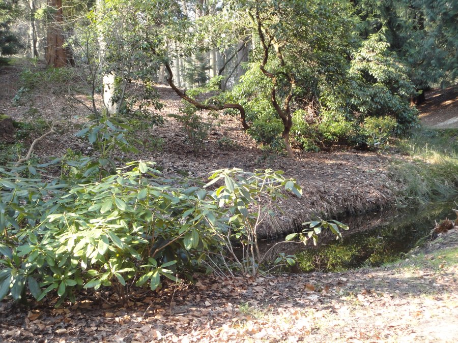 DSC00651.JPG