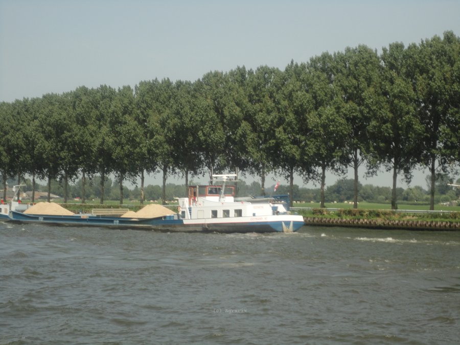 DSC00768.JPG