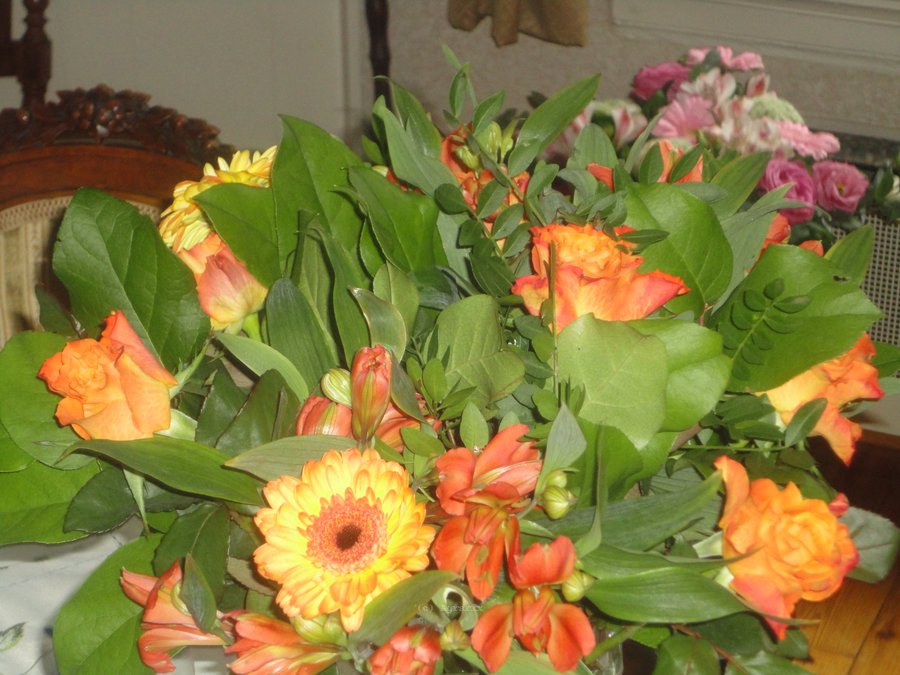 DSC00795.JPG