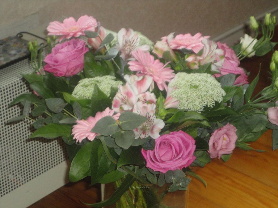 DSC00796.JPG