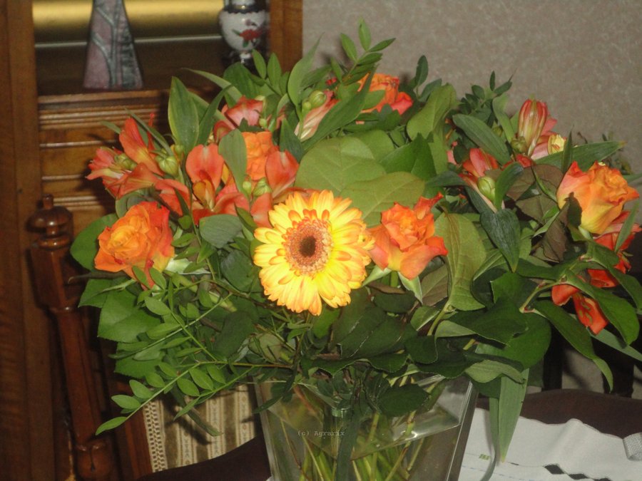 DSC00797.JPG