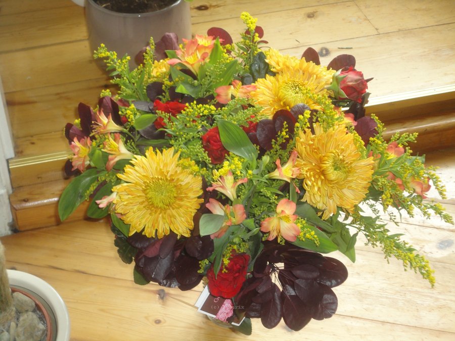 DSC00802.JPG