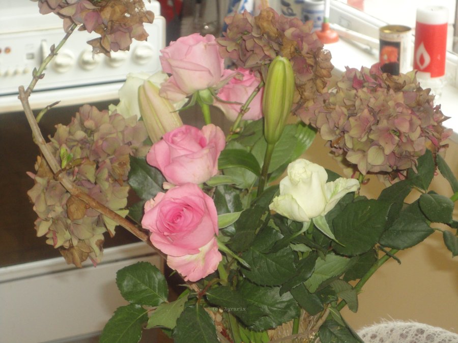 DSC00805.JPG