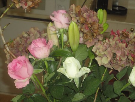 DSC00806.JPG