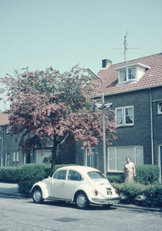 Dia0517.jpg